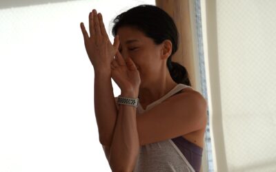 Yuki’s Yoga Classes in December 2023 at @Yoga Studio in Gotanda.