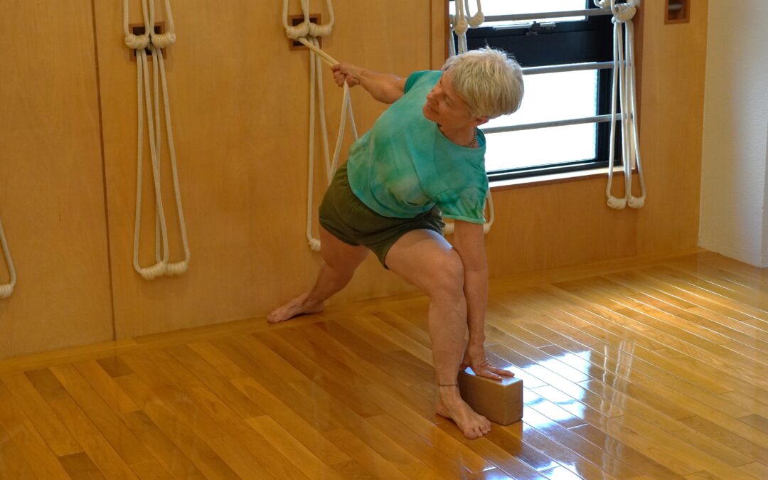 Join Dominica for Yoga with Rope Wall Class in January at @Yoga Studio in Kichijoji.