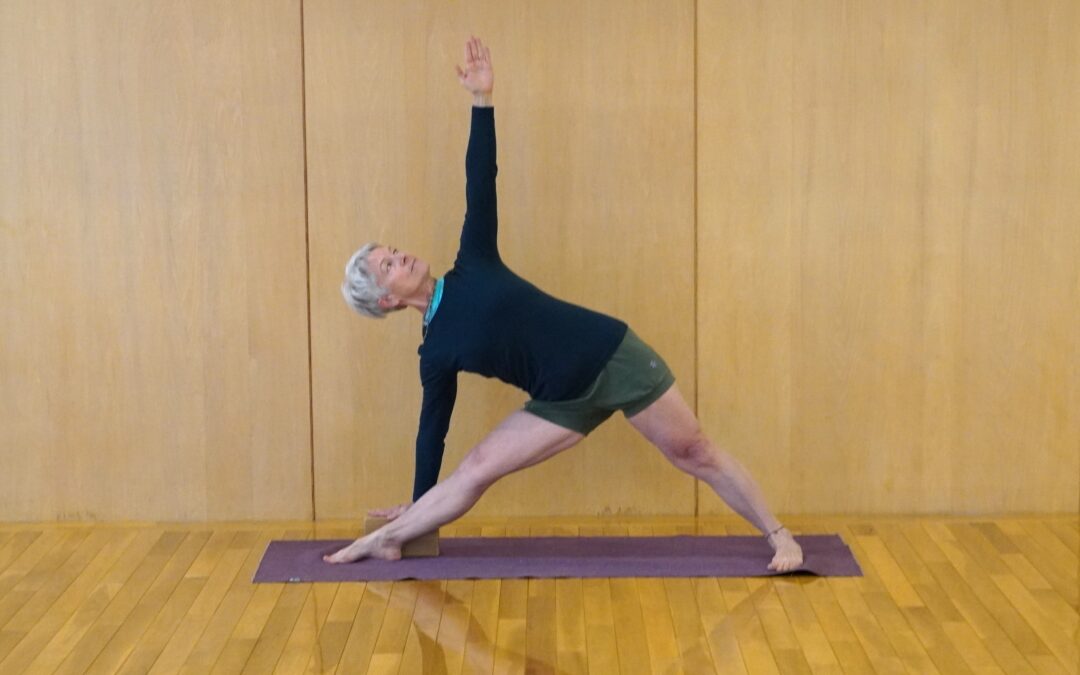 Join Dominica for the Basic Hatha Yoga Course in January at @Yoga Studio in Kichijoji.