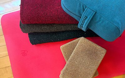 Nao’s Yoga Classes in  2025 December @Yoga Studio in Gotanda.