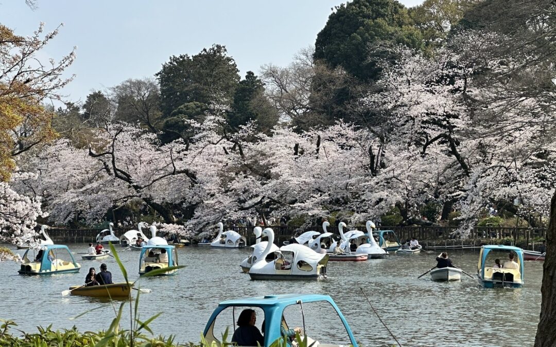 Join Dominica for a Special Class on April 4 at Yoga Studio Kichijoji