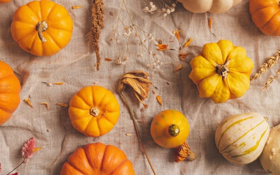 Harvest & Calm